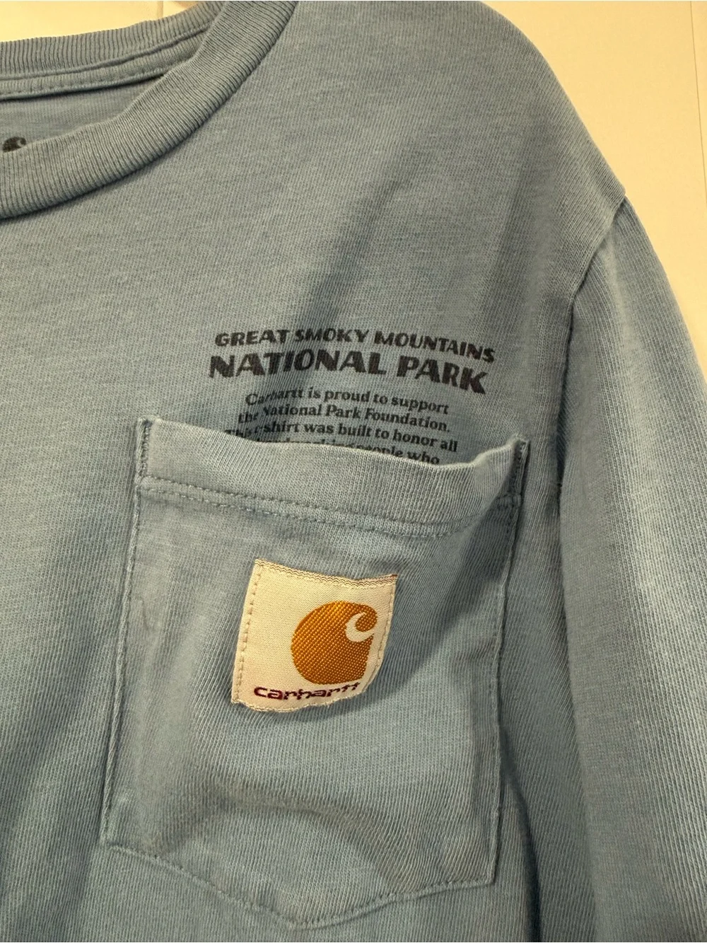 Carhartt Kids Long-Sleeve Pocket Tee in Dusty Blue